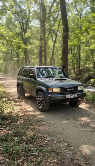 Isuzu Bighorn: 1995 г., 3.1 л, Автомат, Дизель, Внедорожник