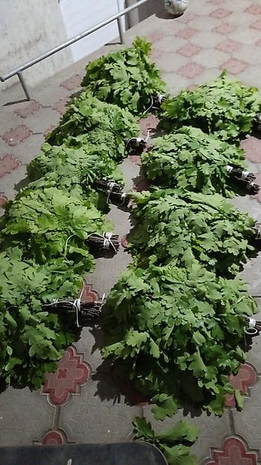 самодельные метла: Метла, Деревянная — 1