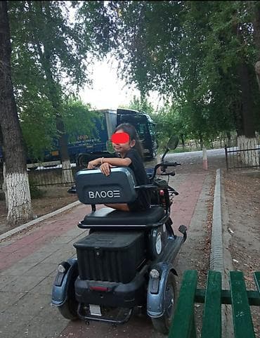 каска на мото: Электрический трёхколёсный скутер BAOGE с крышей - Форм-фактор — 3