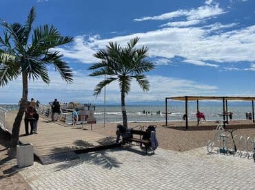 аренда дом без хозяина: Коттедж, Палм Бич ЦО Palm Beach, Чок-Тал, Барбекю, Баскетбольная площадка, Батут — 21