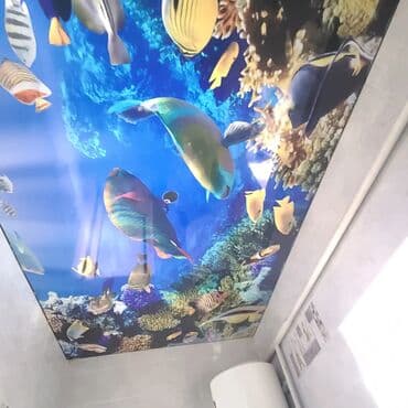 бетон м200 цена с доставкой бишкек: Натяжной жазайбыз 
3d натяжные потолки 
от 1000 сомов 
Бишкек чуй — 6