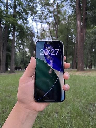 leather case: IPhone 15 Pro, 128 ГБ, 81 % — 2