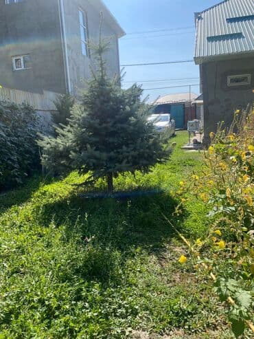 участок дом арча бешик: 9 соток, Для строительства, Договор купли-продажи, Тех паспорт — 2