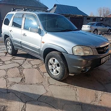 боковой тырмо: Mazda Tribute: 2002 г., 3 л, Автомат, Кроссовер — 1
