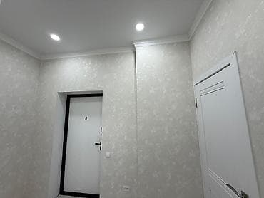 Кыймылсыз мүлк: 1 бөлмө, 43 м², Элитка, 13 кабат, Евроремонт — 5