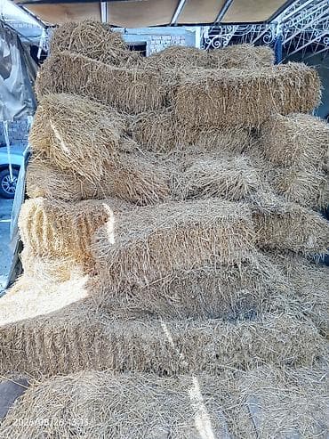 Продаётся солома в прямоугольных тюках. Подходит для: - кормления at lalafo.kg Продаётся солома в прямоугольных тюках. Подходит для: - кормления