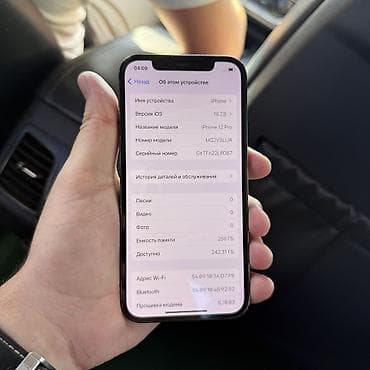 bishdroid: IPhone 12 Pro, Б/у, 256 ГБ, Синий, Чехол, 100 % — 2