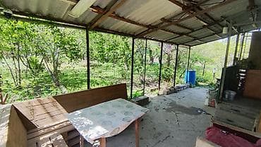 хранение вещей: 5 соток, Красная книга — 1