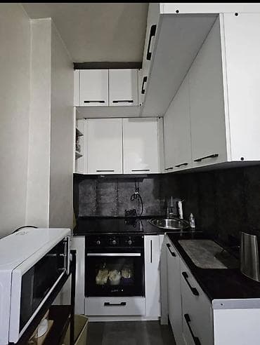 osh flats: 1 комната, 39 м², Индивидуалка, 1 этаж, Евроремонт — 3