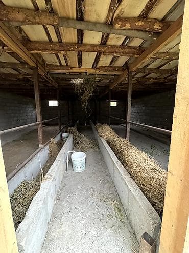 санузла: В центре Сокулука продается дом. 🏠 Участок 14 соток 📐3 комнат 75 кв.м — 3