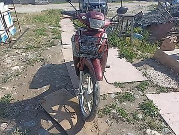 ямаха жок: Скутеретта Honda, 110 куб. см, Бензин — 3