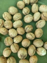 пластиковые контейнеры с крышкой купить бишкек: Орехи грецкие — 2