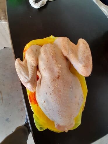 индюк самец: Продаю | Индюк (самец) | Бройлерная | Для разведения | Племенные — 7