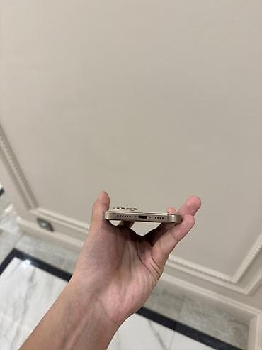 iphone 8: IPhone 16 Pro Max, Б/у, 256 ГБ, Desert Titanium, Кабель, 100 % — 5