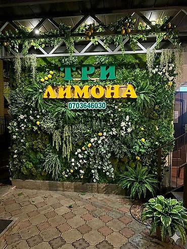 аламединский ущелье: 🌊 Устали от городской суеты? Представьте: утро начинается с шума волн — 1