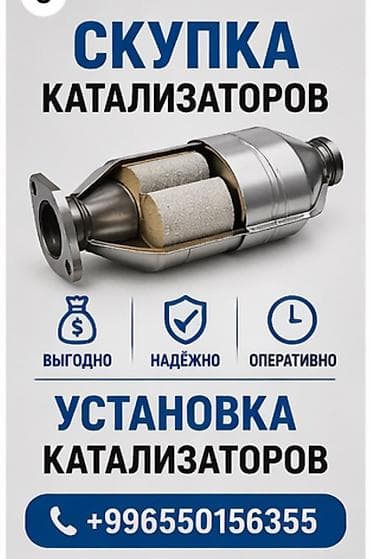 m 5: Сервис по работе с автомобильными каталитическими нейтрализаторами — 1