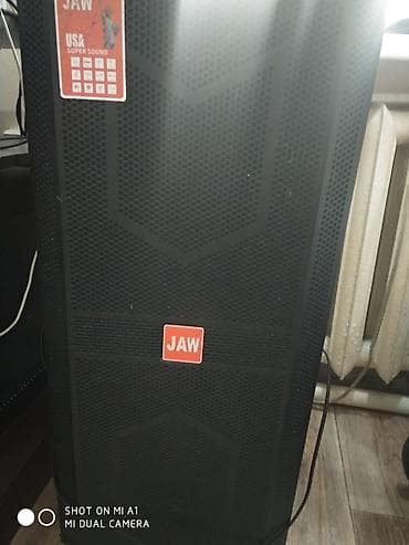 jbl pulse 5: Портативная акустическая система JAW с двумя беспроводными микрофонами — 4