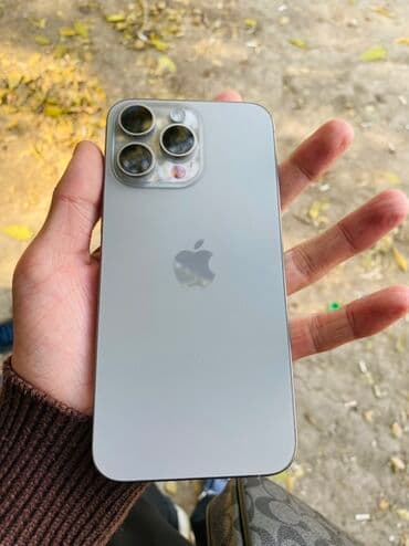 айфон хs бишкек: IPhone 15 Pro Max, Колдонулган, 256 ГБ, Natural Titanium, 87 % — 1