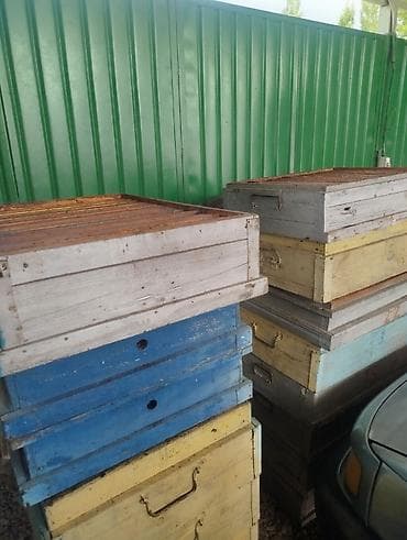 сөөл жан: Продаю магазинную сушь,полурамка.В количестве 240 шт.Цена 60 сом за шт — 2