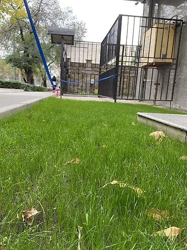 ведо: Посев газона, установка автополива под ключ 🔑 ведем работы любой — 3