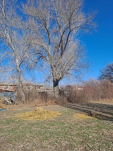 козу эти: Продаётся сено/солома россыпью. Описание: - Натуральная — 1