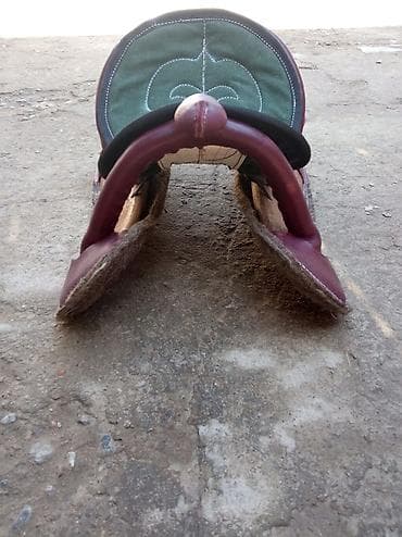 Үй жаныбарлары үчүн товарлар: Сатам | Жылкы (эркек) — 2