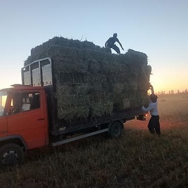 Транспорт: Грузовик, Mercedes-Benz, Стандарт, 7 т, Б/у — 3
