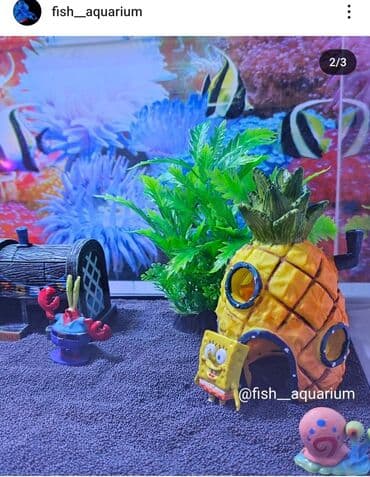 аквариум природа: Аквариум с дизайном в стиле "Губка Боб" Аквариум- ваш собственный — 3