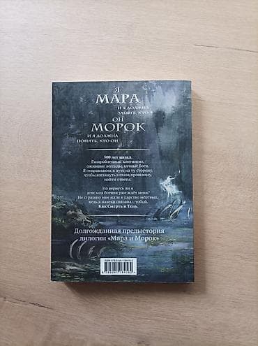 забыл: Книга: Мара и Морок. 500 лет назад. Тень и Смерть / Огнище и Ковенги — 2