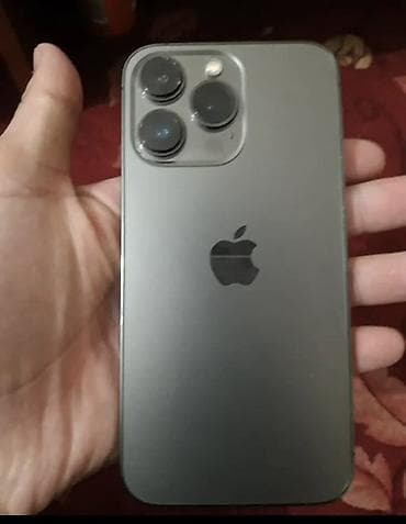 IPhone 13 Pro, 256 ГБ, Графит