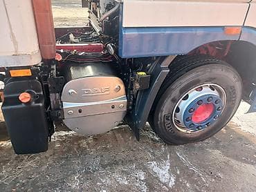 даф реф: Тягач, DAF, 2012 г., Холодильник, рефрижератор — 4