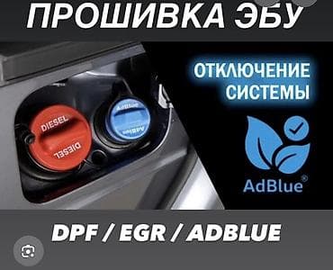sd флешка: Услуга: программная настройка ЭБУ с отключением экологических систем — 3