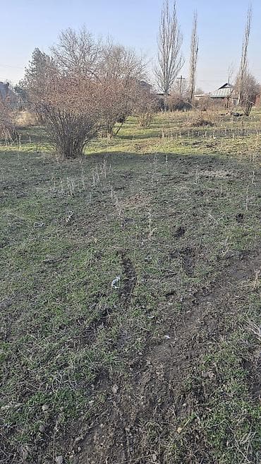 участок лесной: 4 соток, Для строительства, Красная книга — 3