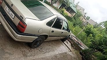 лобовое стекло опель вектра б: Opel Vectra: 1993 г., 1.6 л, Механика, Бензин, Седан — 2