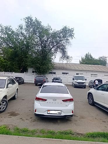 dn8 sonata: Hyundai Sonata: 2018 г., 2 л, Автомат, Бензин, Седан — 4
