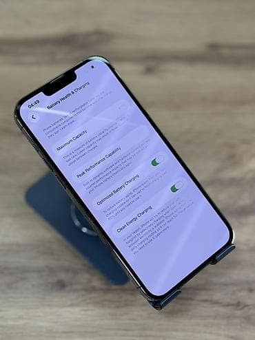 IPhone 13 Pro Max, Колдонулган, 256 ГБ, Графит, Коргоочу айнек, Каптама, 81 % — 10