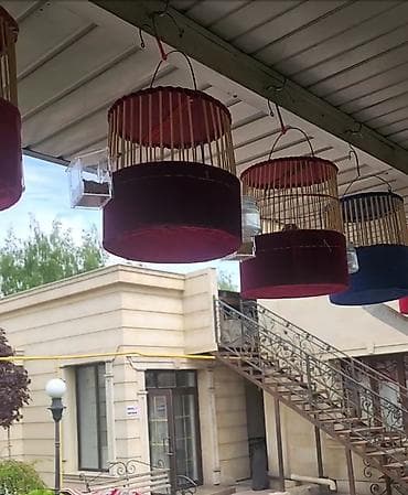 дакан корз: Перепёлки певчие Италия бедана - Форма: цилиндрическая, с куполом и — 2