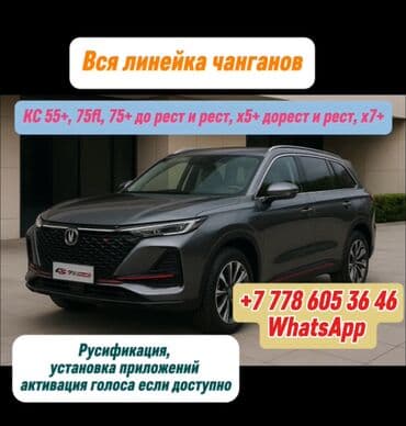 Удаленная Русификация и расширение функционала мультимедиа для