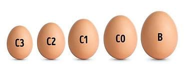 Кургатылган жемиштер, жаңгактар, снектер: Куриные яйца, лоток 30 шт. - Натуральные столовые яйца — 3