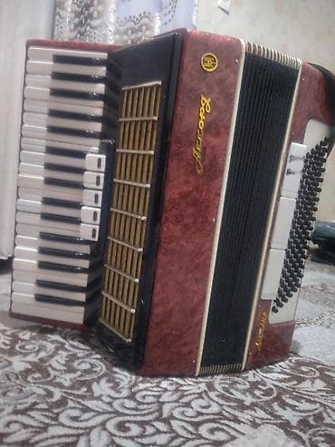 Аккордеоны: Аккордеон «Россий» (надпись на корпусе), красно-коричневый — 10