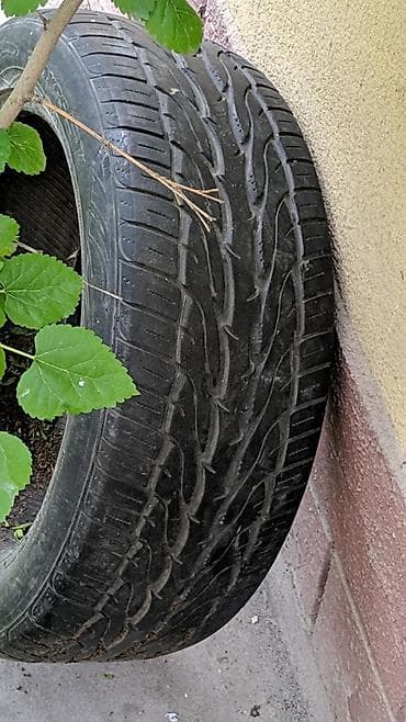шины 26550 r20 зима: Шины 265 / 50 / R 20, Лето, Б/у, 1 шт, Внедорожные (АТ/МТ), Япония, Toyo — 1