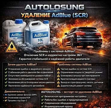 Удаление AdBlue (SCR) и сажевого фильтра DPF + профессиональная