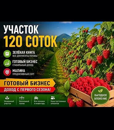 120 соток, Для бизнеса, Договор купли-продажи