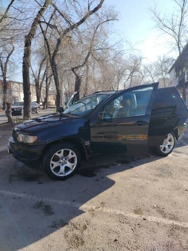 сдаётся авто с последующим выкупом: BMW X5: 2003 г., 3 л, Автомат, Дизель, Внедорожник — 8