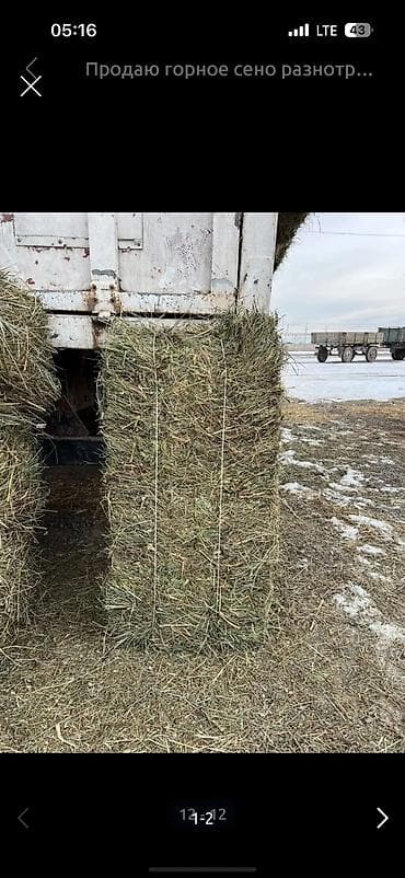 детская игровая комната цена: Тюки Клевер/эспарсет (50/50) 500 шт есть Цена с доставкой 340 С поля — 1