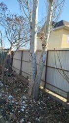 Садовые инструменты и инвентарь: Дрова Самовывоз, Платная доставка — 4