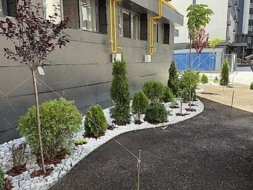 один хоз: 3 комнаты, 92 м², Элитка, 11 этаж, Свежий ремонт — 5