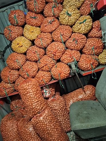 Орех 400 кг в токмоке,продаю