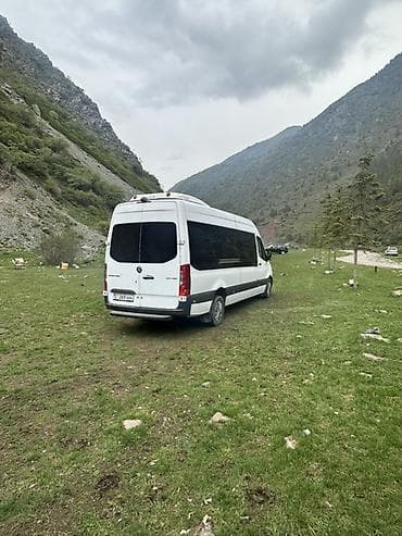 климат: Пункт назначения: Все направления, Количество мест: 17, Лицензия №: Есть — 4