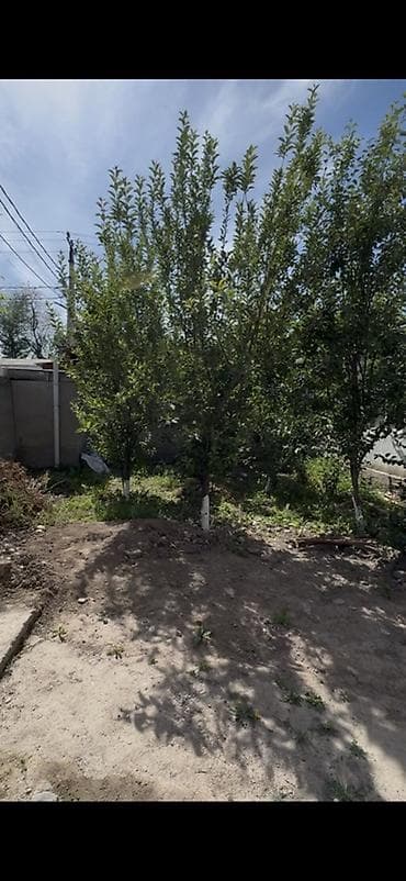 продаются дом талас: 🔥 Дом, который может приносить доход уже с первого месяца! Продаётся — 9